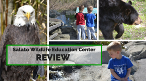 Salato Wildlife Education Center *Review & Events