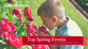 Spring Events Graphic