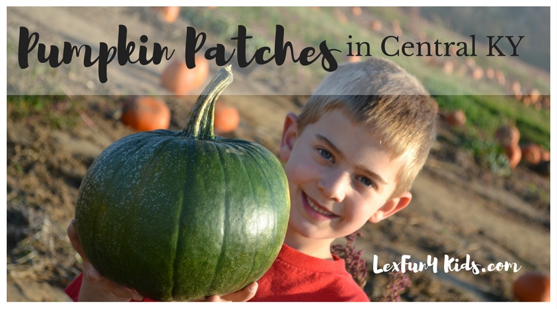Pumpkin Patches in Central KY