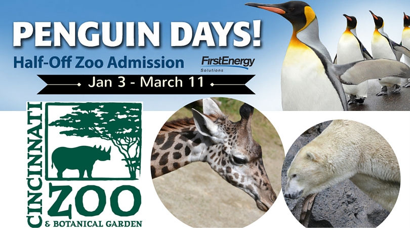 penguin days fb