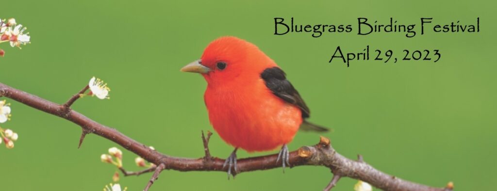 Bluegrass Birding Festival 2023