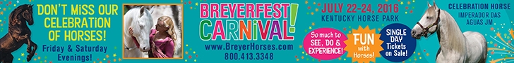 Breyerfest July