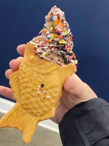 Taiyaki fish Bobi Cones