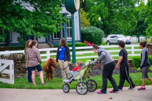 Kentucky Horse Park Run/Walk Club FREE Family Fun