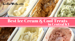 10+ Best Spots for Ice Cream & Cool Treats in Central KY