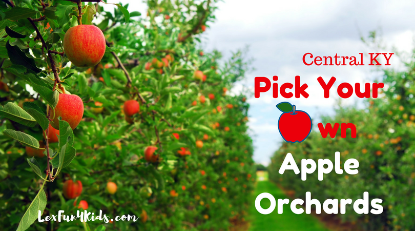 Apple Orchards graphic