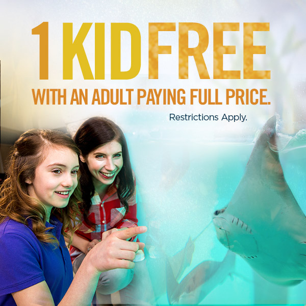 Newport Aquarium Winter Admission Deal 2019 *One child FREE w/adult