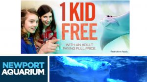 Newport Winter Free Admission