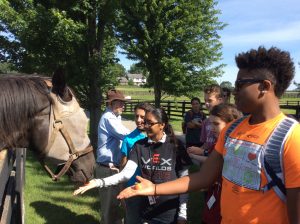 Pre-College Academic Experience in Math and Science (PAEMS) Camp