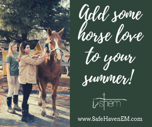 Safe Haven Equine Summer Camps 2019