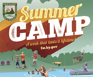 Summer Camp Guide Lexfun4kids