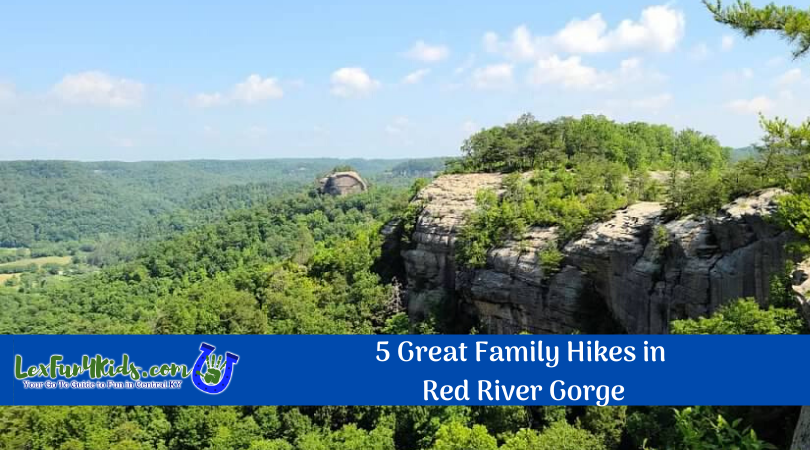 Best hikes 2025 red river gorge