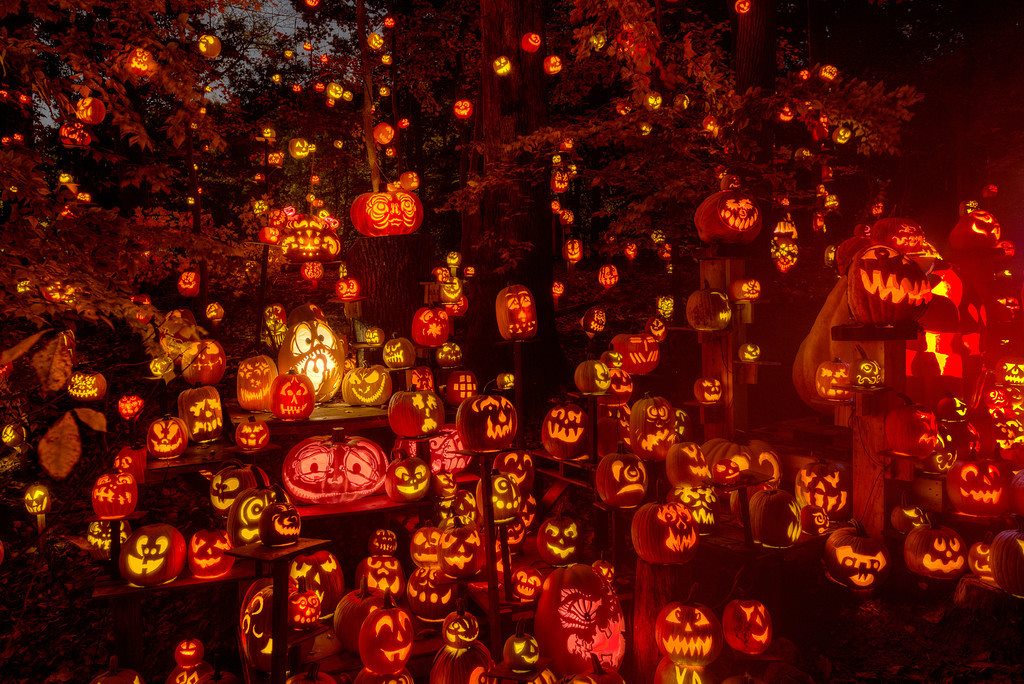 Jack O'Lantern World opens in Lemont, Illinois