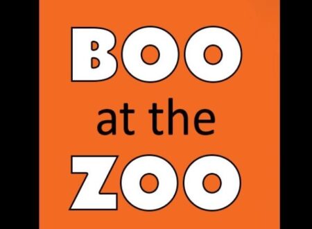 Boo at the Zoo