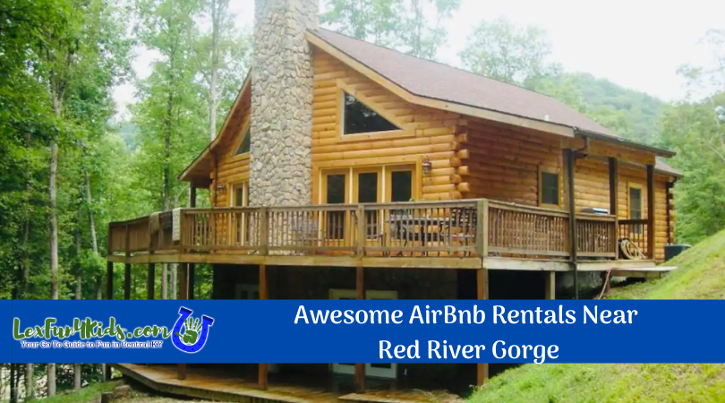 Cozy Riverside Cabin w/ 3 Acres & Trout Fishing - Cabins for Rent