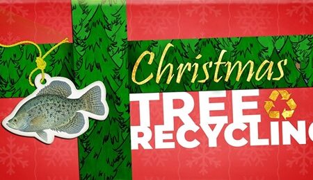 Christmas tree recycling graphic