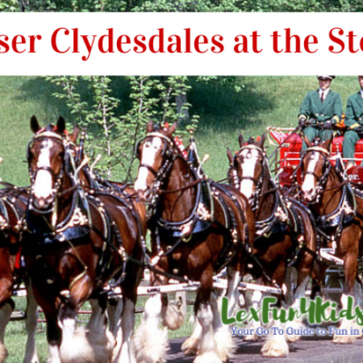 Bluegrass Stockyards Beef BBQ Festival - See the Clydesdales