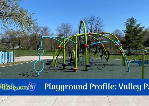 Valley Park Playground Profile
