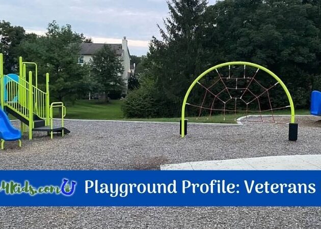 Veterans Park Playground Profile