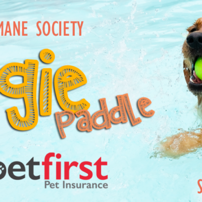 Doggie Paddle