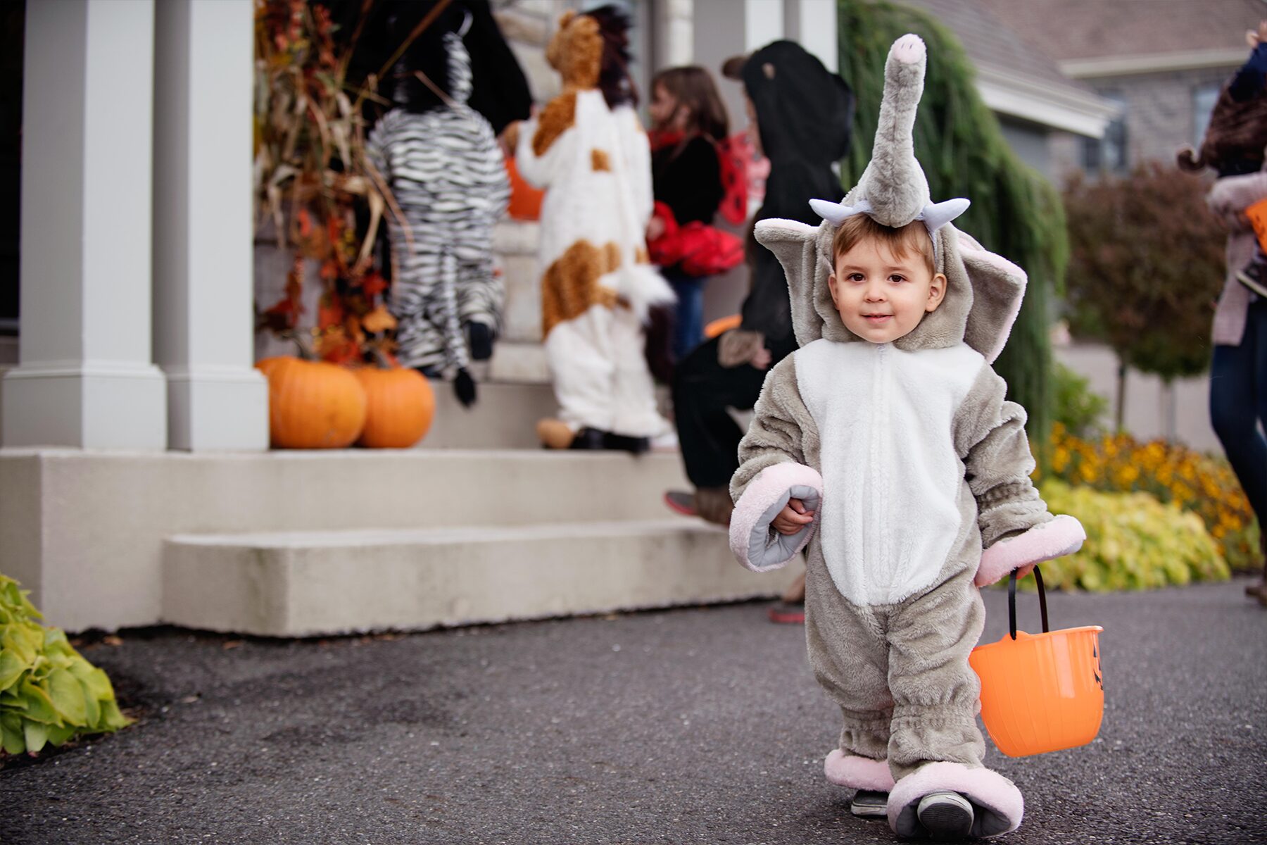 Child in Halloween costume trick or treating