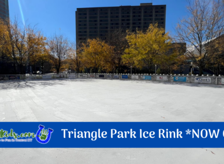 Triangle Park Ice Rink Graphic