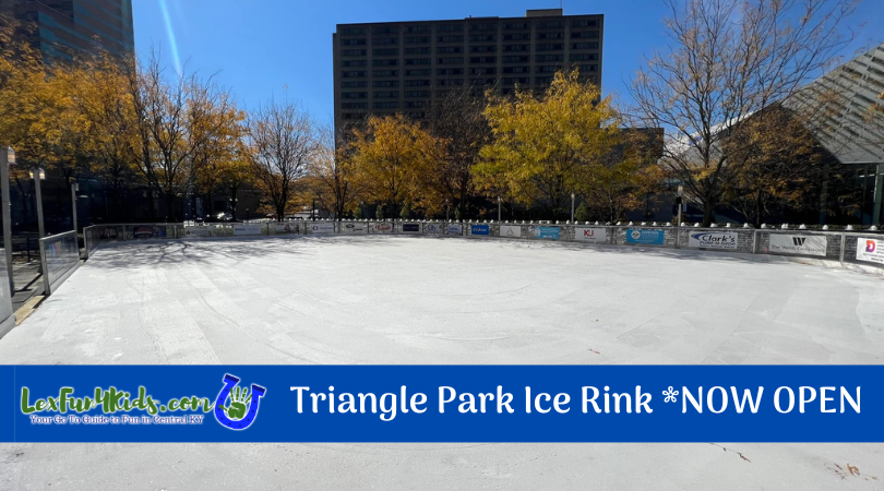Triangle Park Ice Rink Graphic