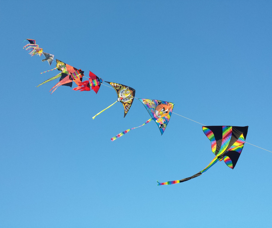 Kites in the sky