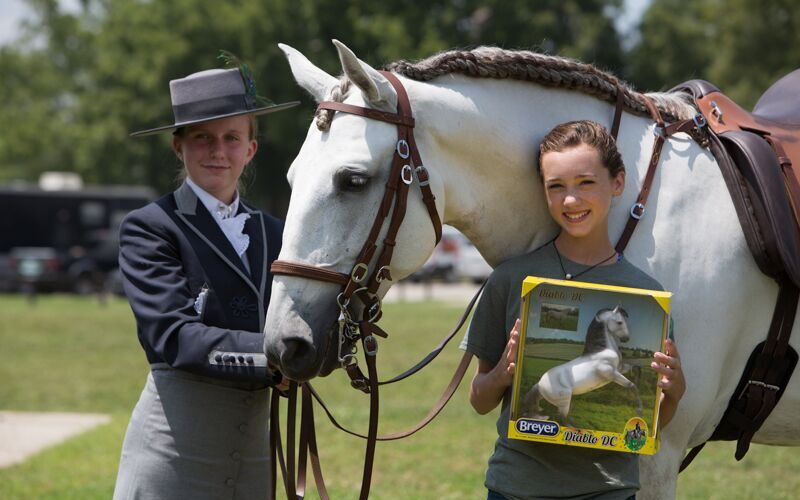 BreyerFest Horse