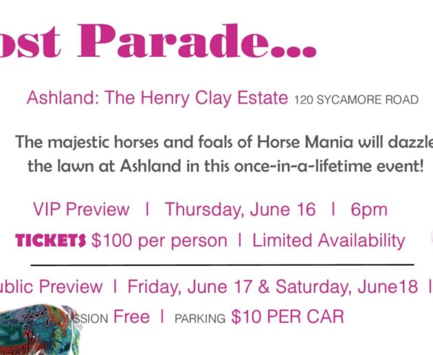 Horse Mania Preview Small Graphic