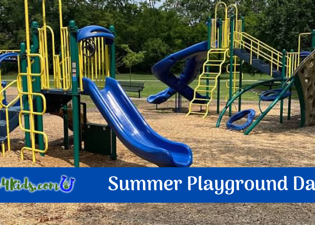 Summer Playground Days Graphic