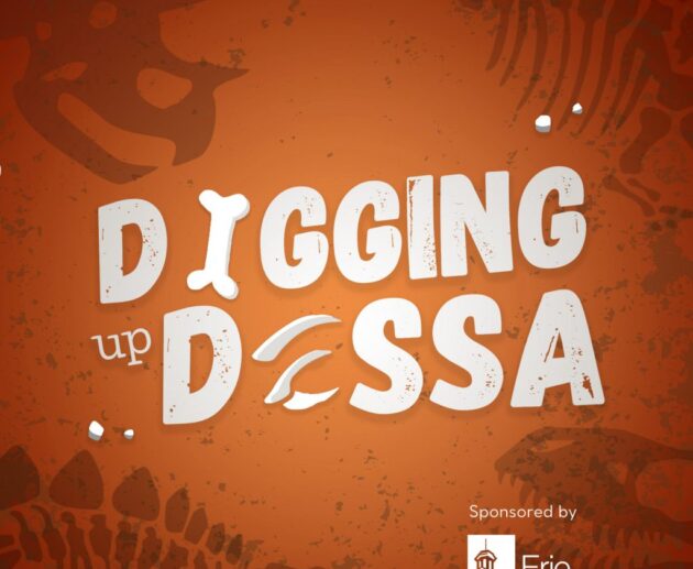 Digging up Dessa 22 LCT Graphic