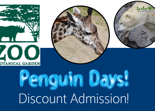 Penguin Days Cincinnati Zoo