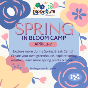 Spring in Bloom Camp