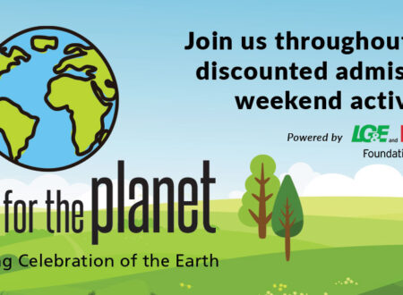 party for the planet Louisville Zoo graphic