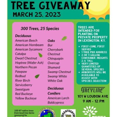 Trees Lexington Free Tree Giveaway