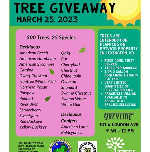 Tree Giveaway 032523
