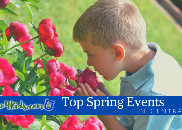 Top Spring Events Image