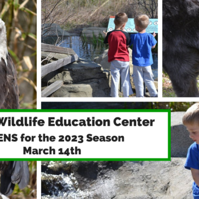 Salato Wildlife Education Center Opening Day for 2023 Season