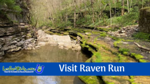 Updated Raven Run Image