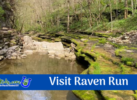 Updated Raven Run Image