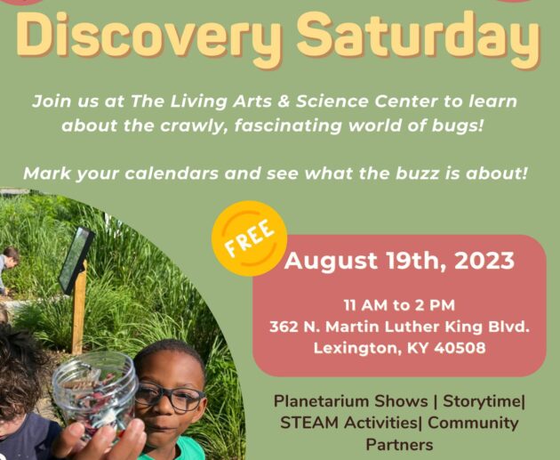 Discovery Saturday 081923