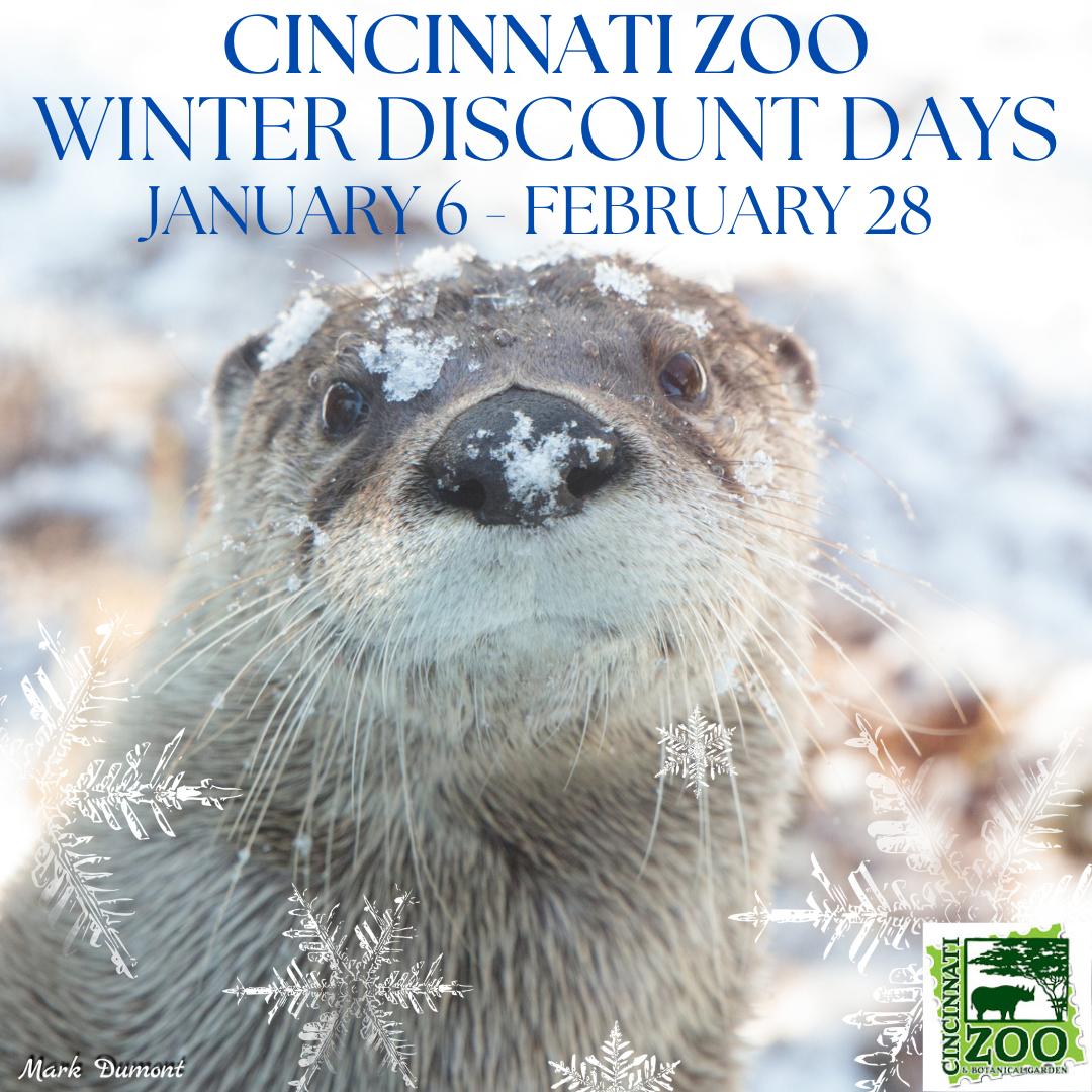 Cincy Zoo Winter Discount Days Insta 25