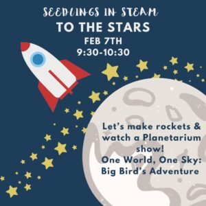 Seedlings in Steam - Let's Make Rockets!