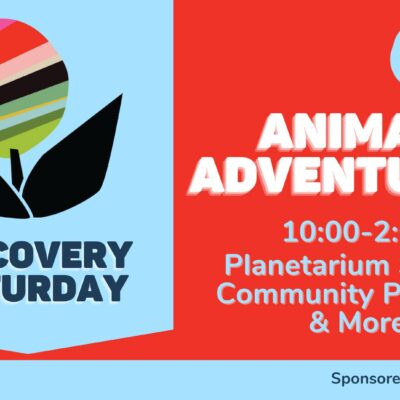 Discovery Saturday: Animal Adventures