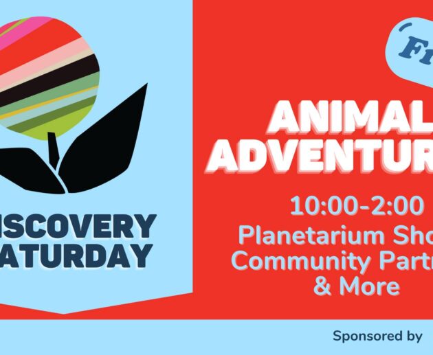 Animal Adventures 24