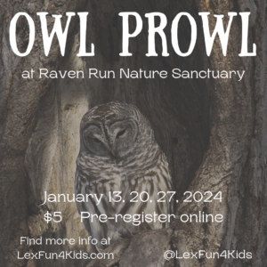 Owl Prowl