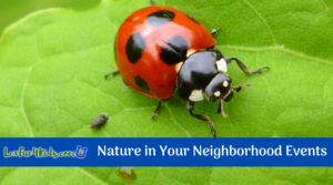 Nature in Your Neighborhood FREE Events