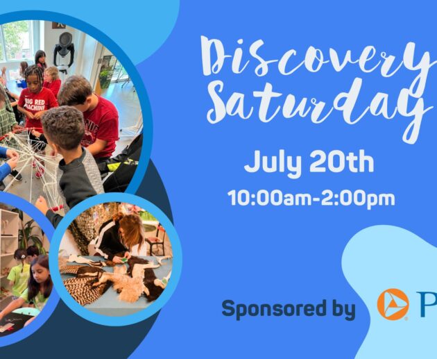 Discovery Sat 072024