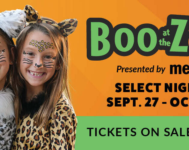 Boo at the Zoo 25